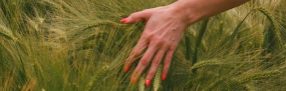 Hand Against Sea Grass